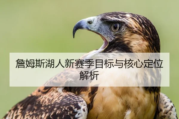 詹姆斯湖人新赛季目标与核心定位解析