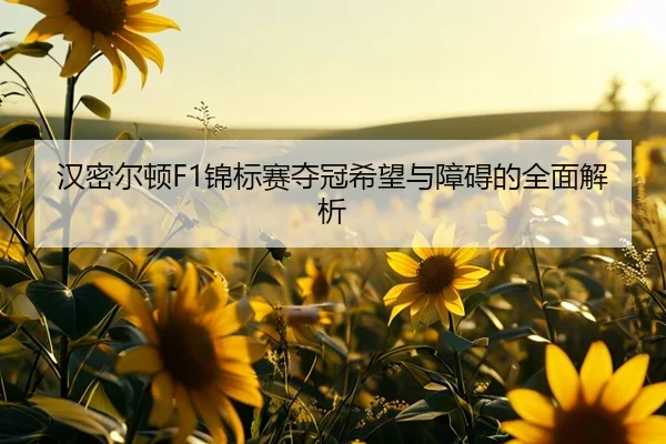 汉密尔顿F1锦标赛夺冠希望与障碍的全面解析